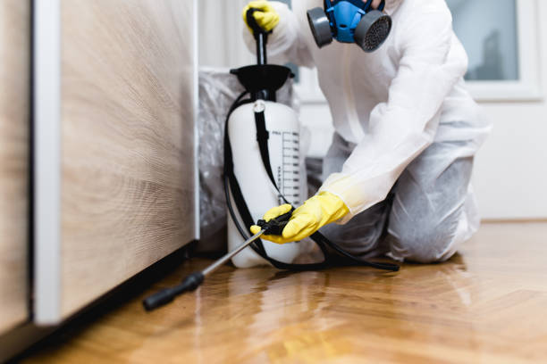 Best Pest Prevention Services  in San Bernardino, CA