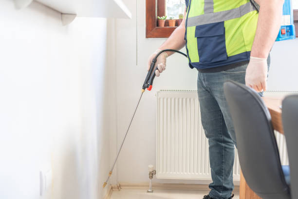 Best Flea Control Services  in San Bernardino, CA