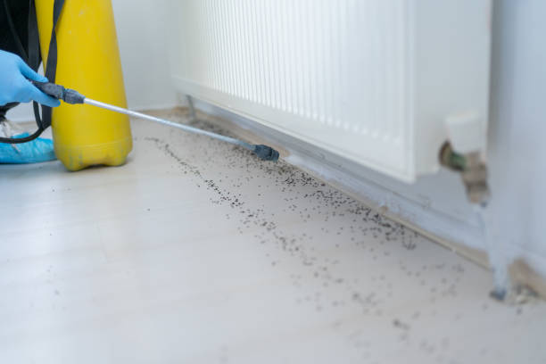 Best Pest Control for Businesses  in San Bernardino, CA