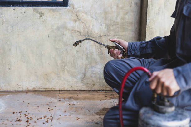Pest Control for Restaurants in San Bernardino, CA