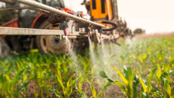 Best Commercial Pest Control Services  in San Bernardino, CA
